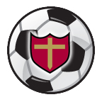 soccer ball with shield