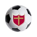 soccer ball with shield