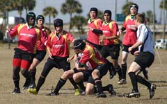 Crusader Rugby